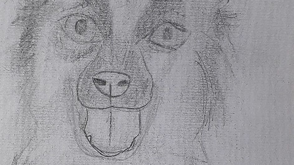 Year 7 Student, drawing for a good cause